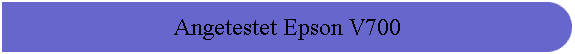 Angetestet Epson V700