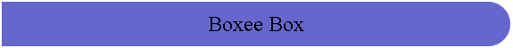 Boxee Box