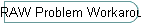 RAW Problem Workaround